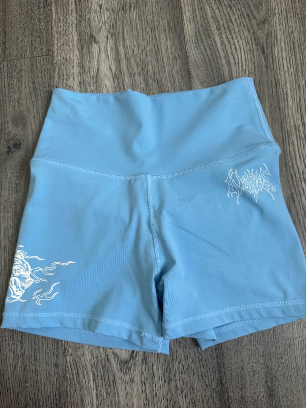 Eternal Flame Energy Pump Shorts in Blue Crane - S